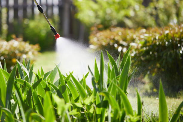 24/7 Emergency Mosquito Control experts in Prairie Grove, AR