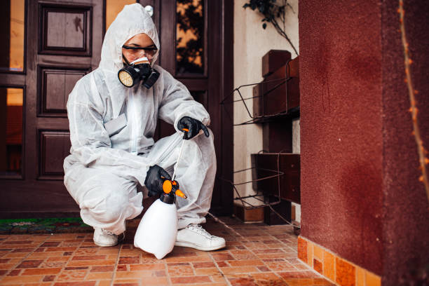 Reliable Mosquito Control contractor in Prairie Grove, AR by Show Me Pest Control